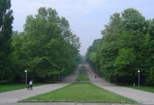 Photo of Сред райската растителност на Морската градина